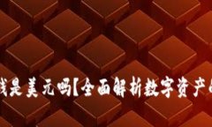 TP钱包里的钱是美元吗？全