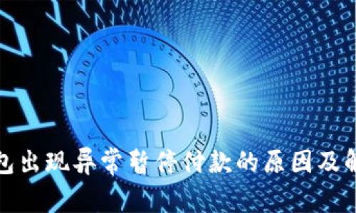 数字钱包出现异常暂停付款的原因及解决方案