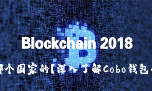 cobo钱包是哪个国家的？深入了解Cobo钱包的背景与发展