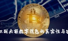 如何识别大额数字钱包的真实性与安全性