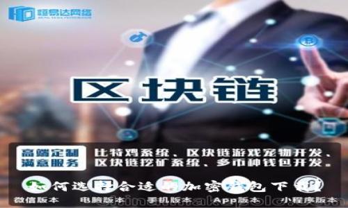如何选择合适的加密钱包下载？