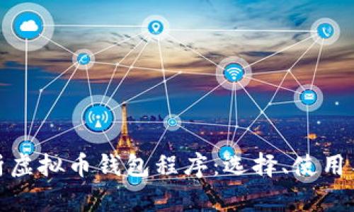 全面解析虚拟币钱包程序：选择、使用与安全性