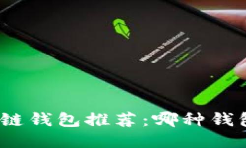 : 区块链钱包推荐：哪种钱包最好？
