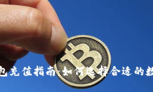 数字币钱包充值指南：如何选择合适的数字币钱包