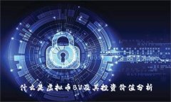 什么是虚拟币BV及其投资价