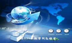 支持BSV的数字钱包推荐