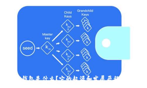 :
TP钱包是什么？它的起源和发展历程解析
