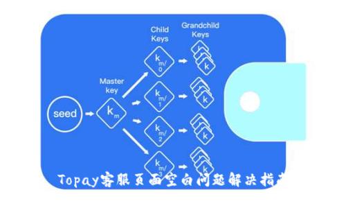 Topay客服页面空白问题解决指南