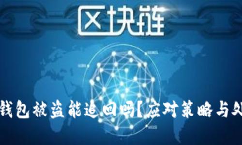 虚拟币钱包被盗能追回吗？应对策略与处理详解