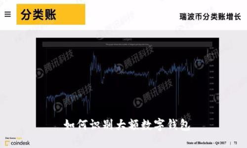  如何识别大额数字钱包