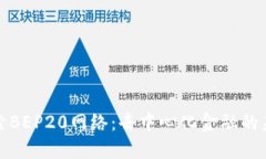 深入探索BEP20网络：去中心
