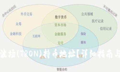 如何找到波场(TRON)持币地址？详细指南与实用技巧