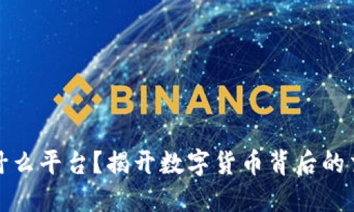 波币是什么平台？揭开数字货币背后的交易秘密