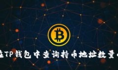 如何在TP钱包中查询持币地