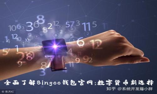 全面了解Bingoo钱包官网：数字货币新选择