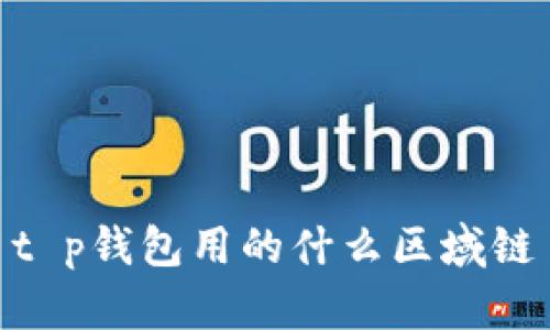 t p钱包用的什么区域链