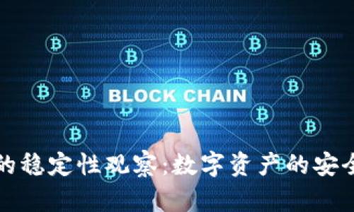 TP钱包的稳定性观察：数字资产的安全与管理