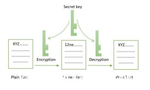 ## TP钱包：投资价值与风险分析