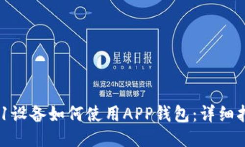 A11设备如何使用APP钱包：详细指南