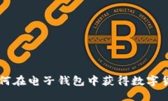如何在电子钱包中获得数