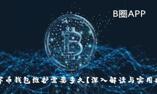 数字币钱包维护需要多久？深入解读与实用指南