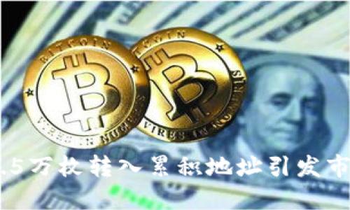 BTC超2.5万枚转入累积地址引发市场热潮！
