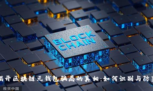 揭开区块链元钱包骗局的真相：如何识别与防范
