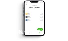 TP钱包买入锐0、卖入0是什