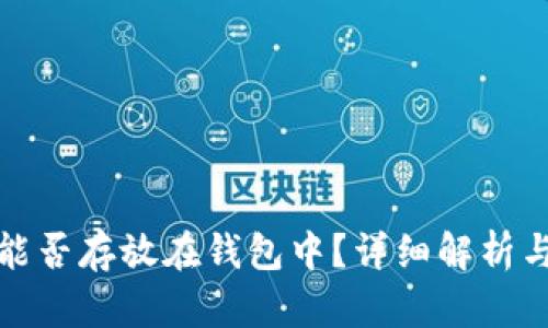 数字货币能否存放在钱包中？详细解析与使用指南