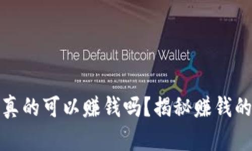 区块链钱包真的可以赚钱吗？揭秘赚钱的潜力与风险