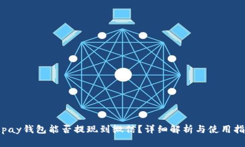 Topay钱包能否提现到微信？详细解析与使用指南