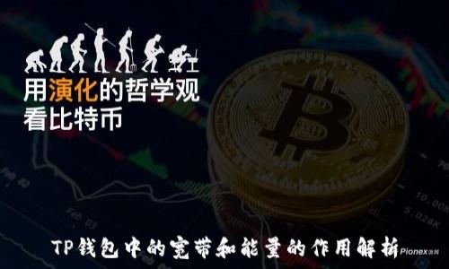   
TP钱包中的宽带和能量的作用解析