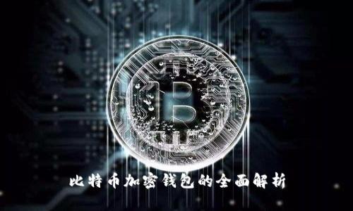 比特币加密钱包的全面解析