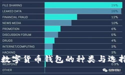目前数字货币钱包的种类与选择指南