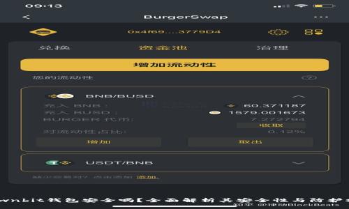 : Ownbit钱包安全吗？全面解析其安全性与防护措施