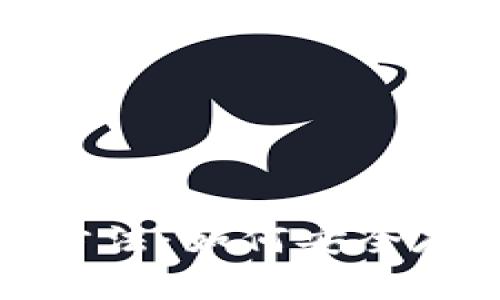 加密钱包的选择方法：如何安全存储你的数字资产